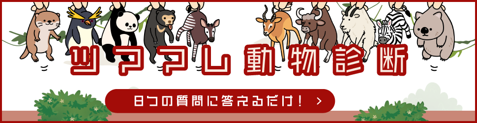 8つの質問に答えるだけ！ツママレ動物診断をチェック