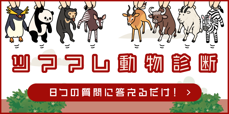8つの質問に答えるだけ！ツママレ動物診断をチェック